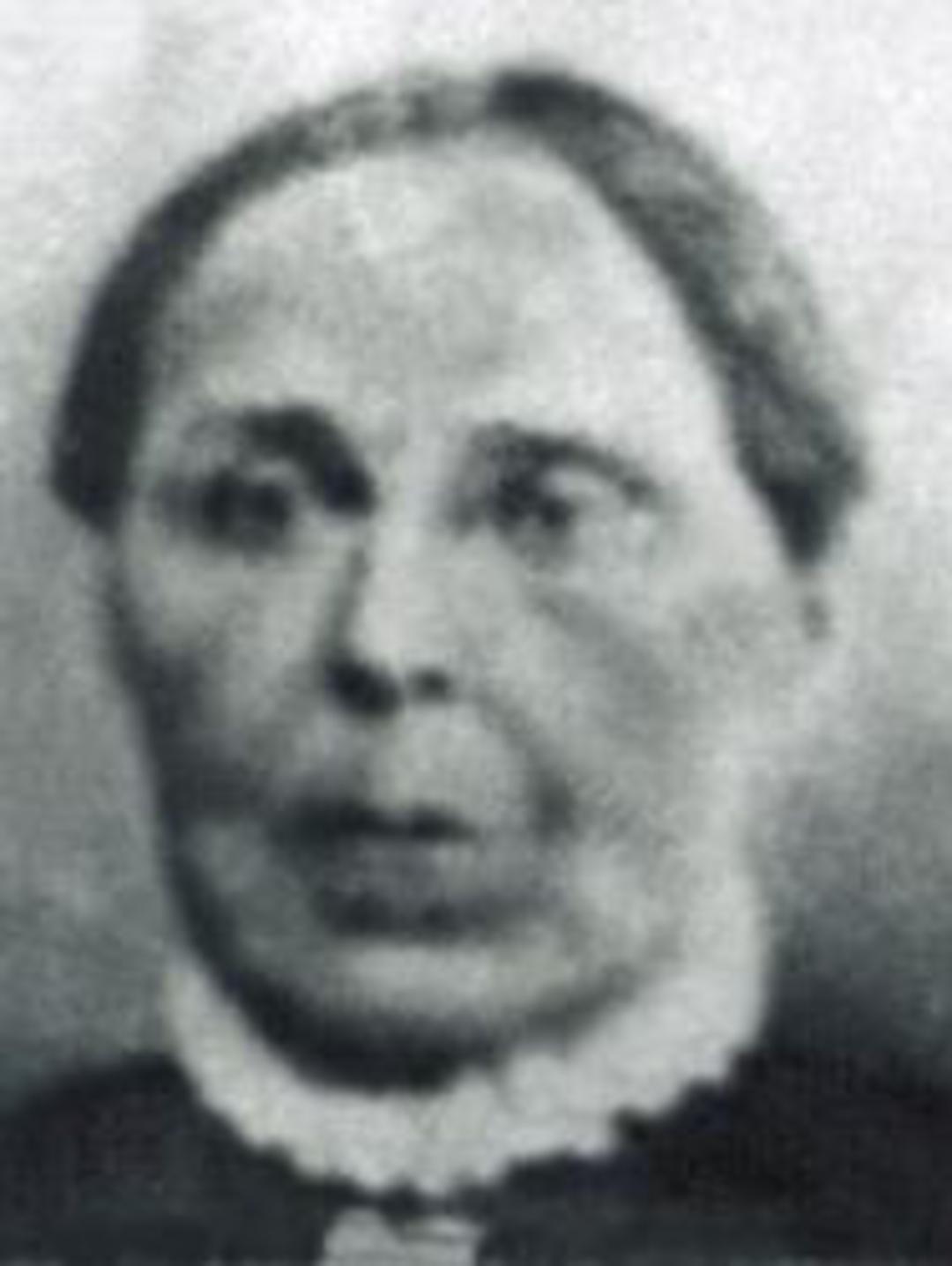 Louisa Jones (1837 - 1915) Profile
